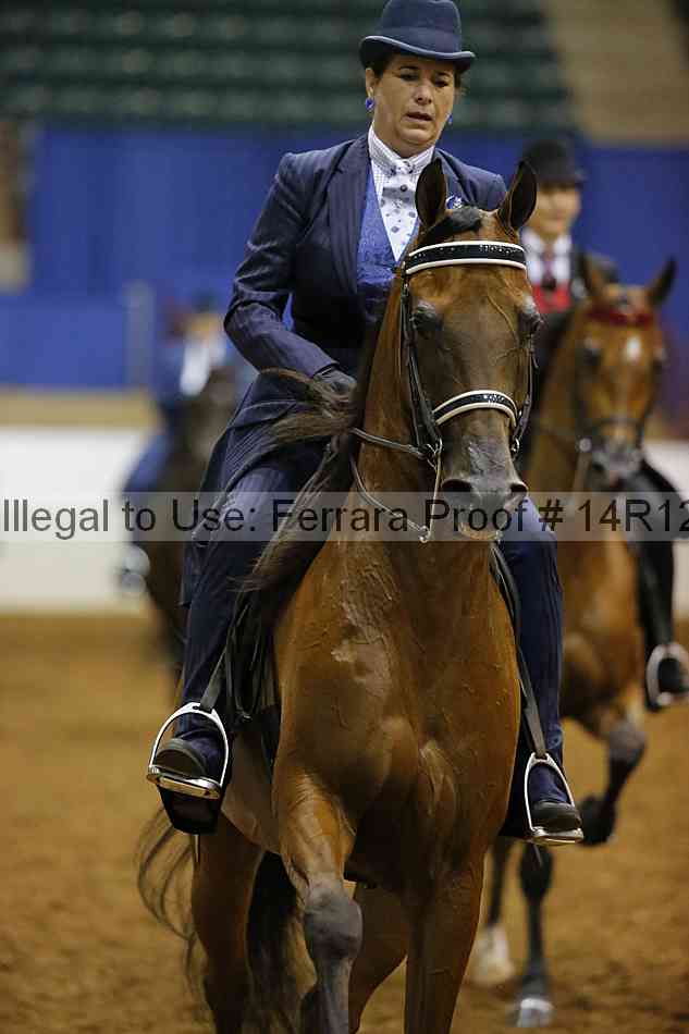 Proof 14r12_1684