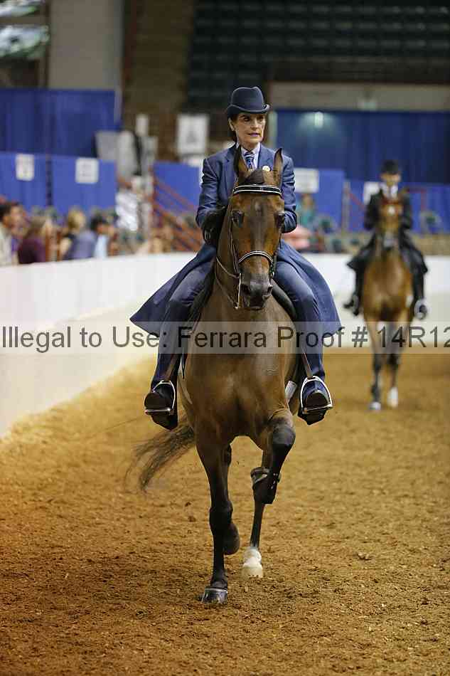 Proof 14r12_1695