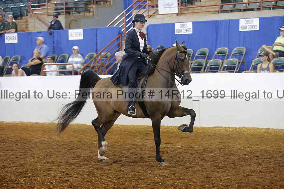 Proof 14r12_1699