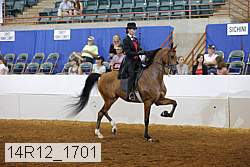 14r12_1701 proof