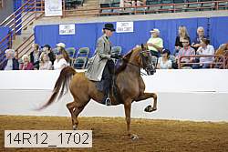 14r12_1702 proof