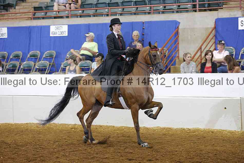 Proof 14r12_1703
