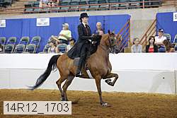14r12_1703 proof