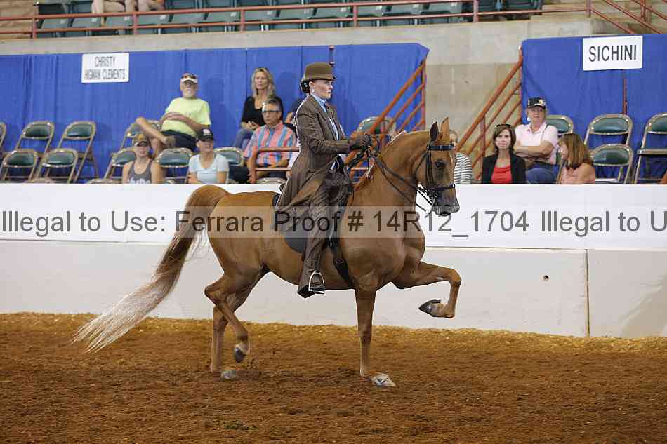 Proof 14r12_1704
