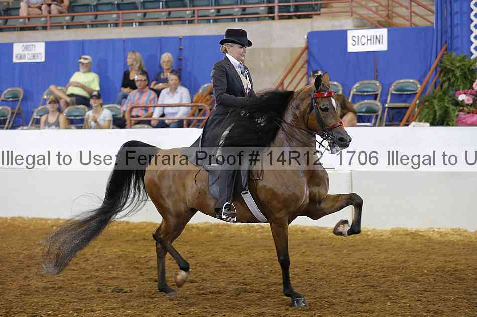 Proof 14r12_1706
