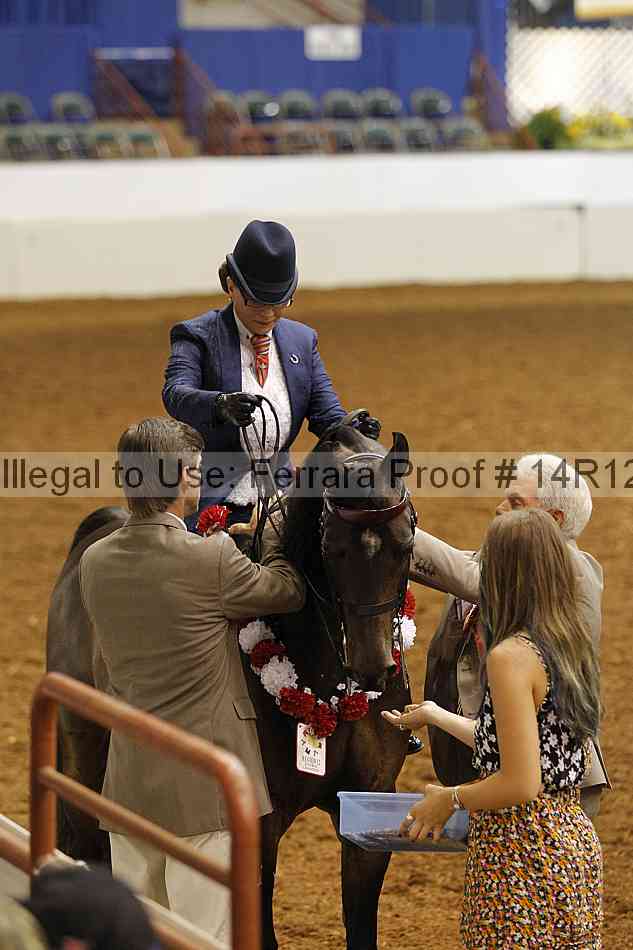 Proof 14r12_1711