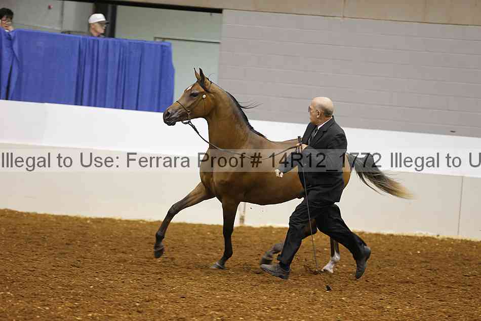 Proof 14r12_1772