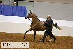 14r12_1772 proof