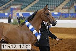 14r12_1782 proof