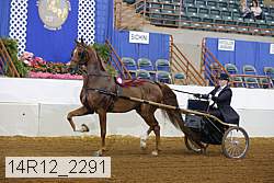 14r12_2291 proof