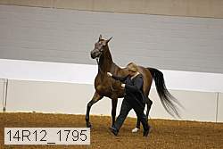 14r12_1795 proof