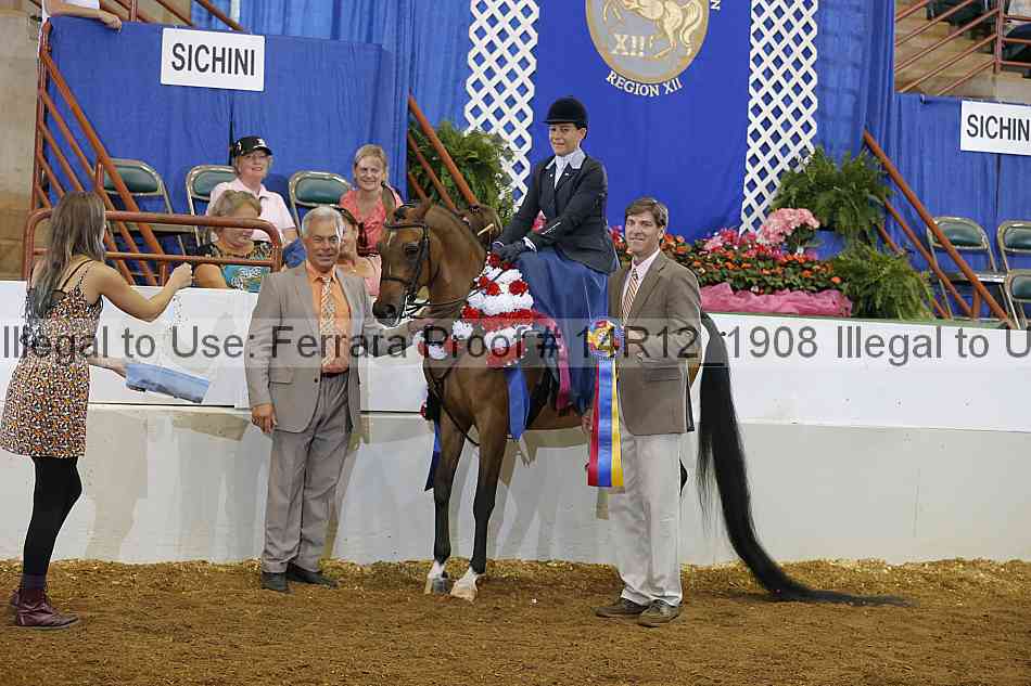 Proof 14r12_1908