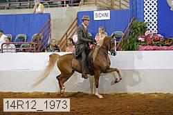 14r12_1973 proof