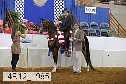14r12_1985 proof
