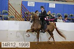14r12_1996 proof