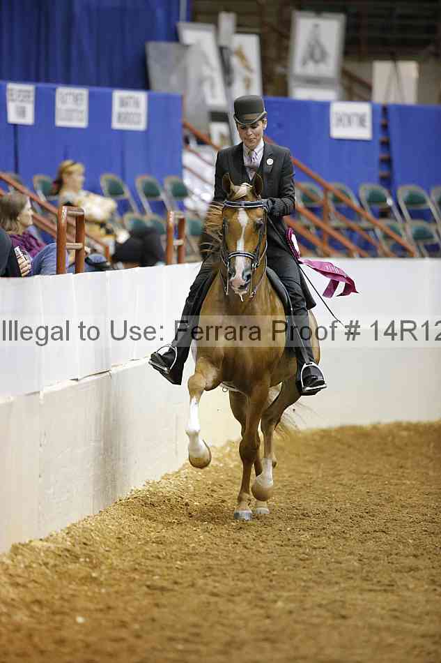 Proof 14r12_1998