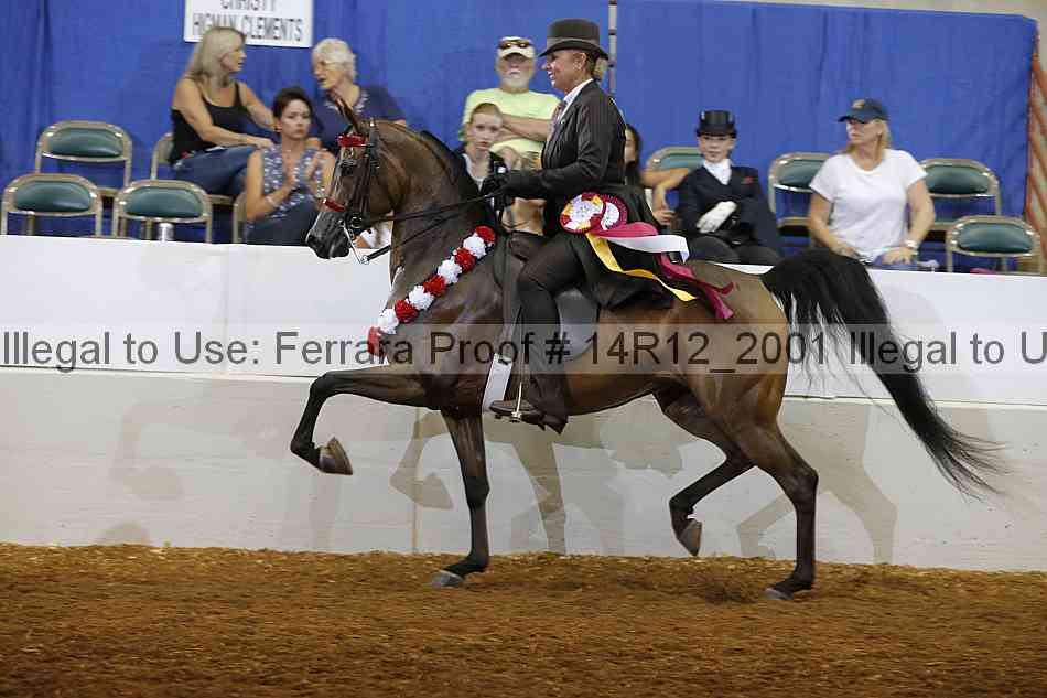 Proof 14r12_2001