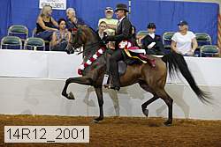 14r12_2001 proof
