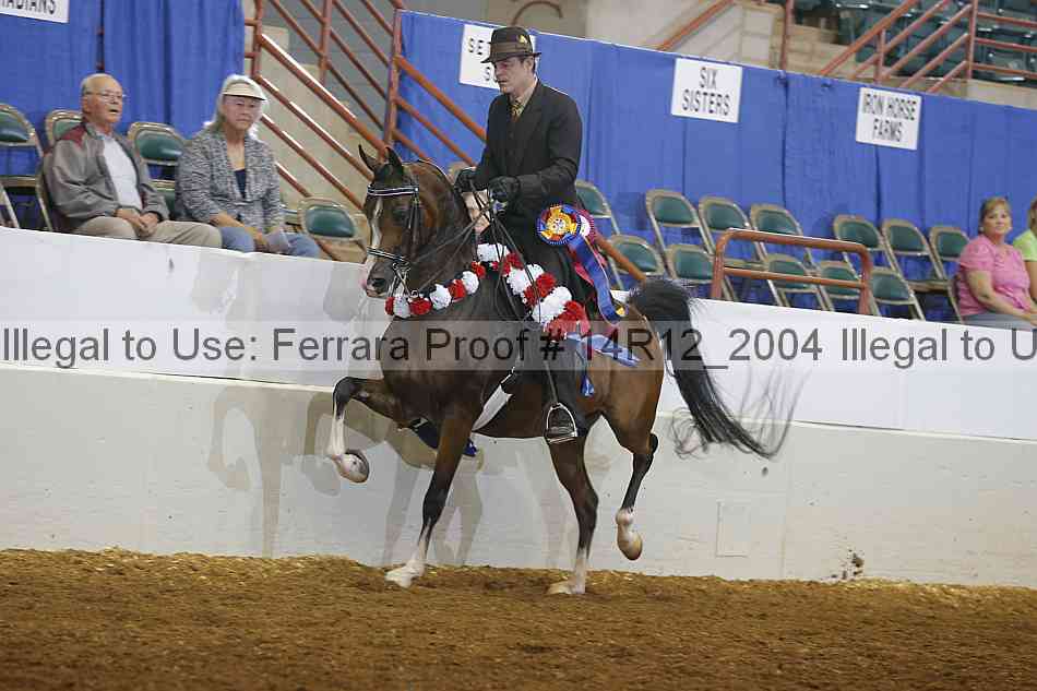 Proof 14r12_2004
