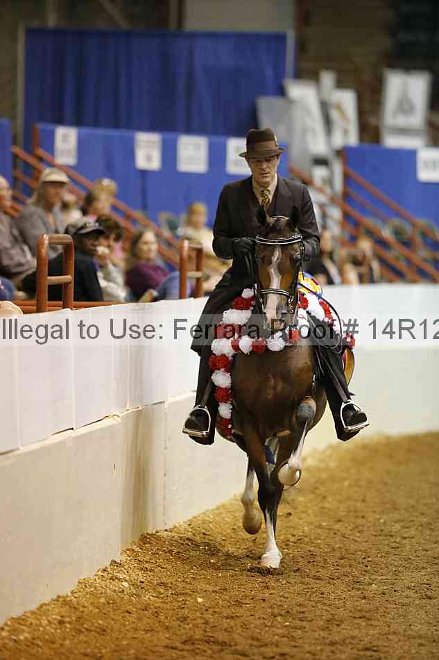 Proof 14r12_2006