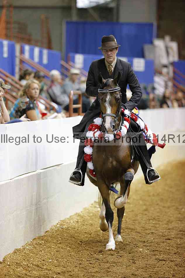 Proof 14r12_2007