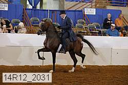 14r12_2031 proof