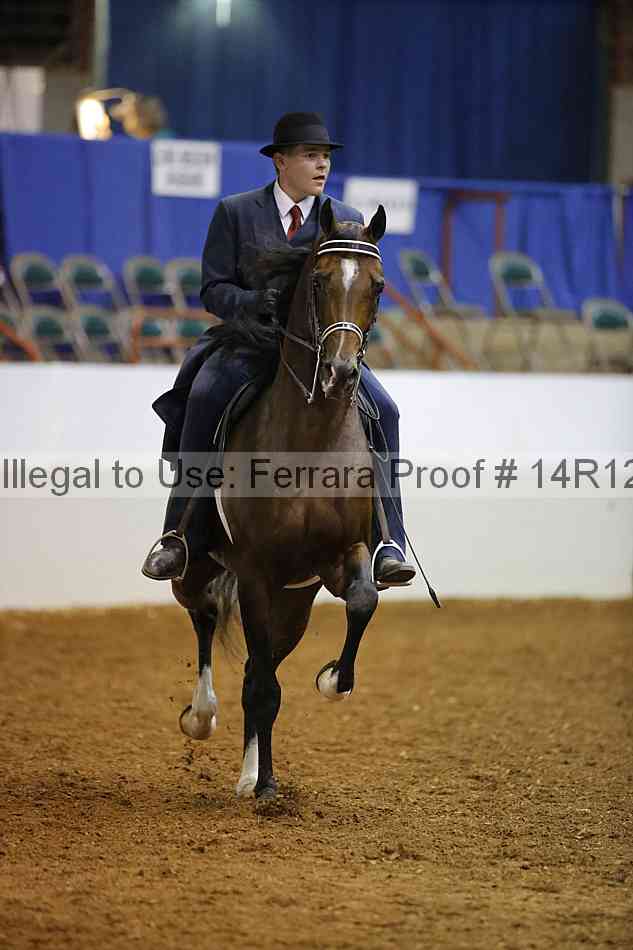 Proof 14r12_2033