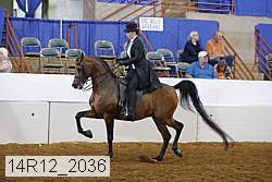 14r12_2036 proof