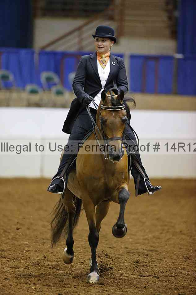 Proof 14r12_2037