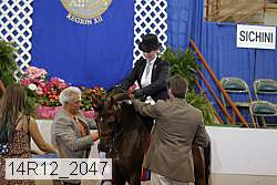 14r12_2047 proof