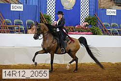 14r12_2055 proof
