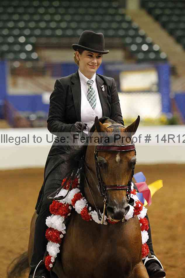Proof 14r12_2065