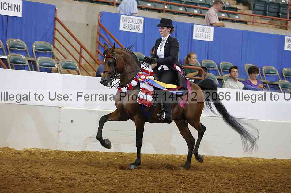 Proof 14r12_2066