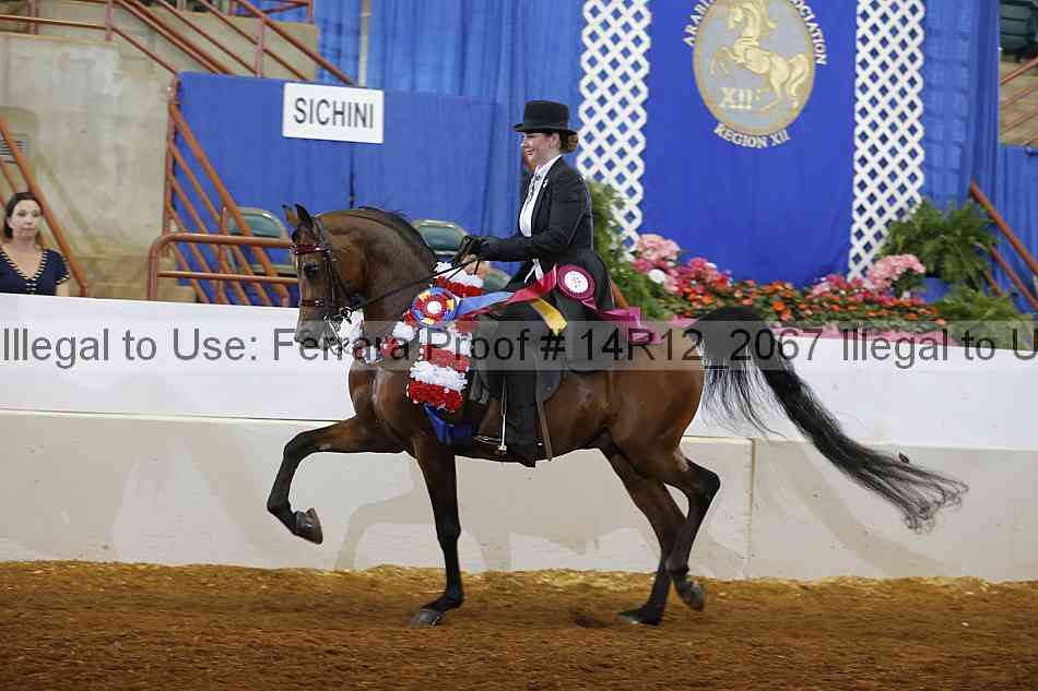 Proof 14r12_2067