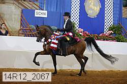 14r12_2067 proof