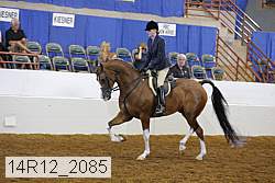14r12_2085 proof