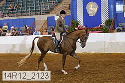 14r12_2123 proof