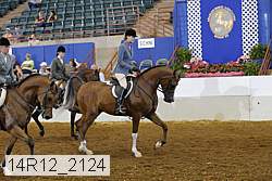 14r12_2124 proof