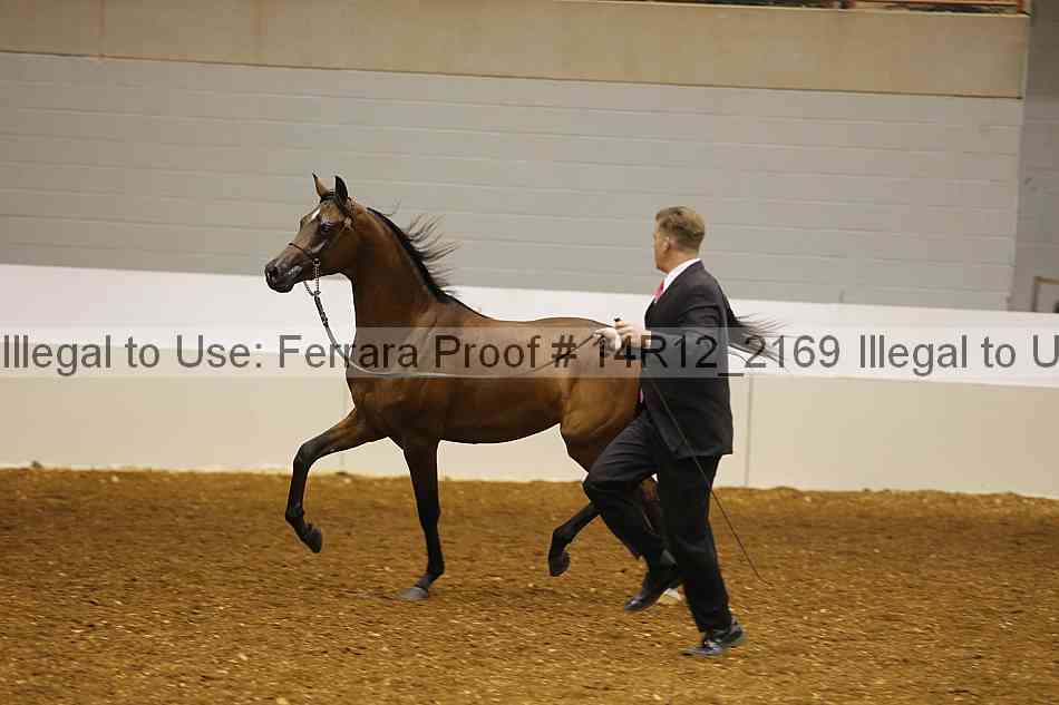 Proof 14r12_2169