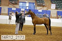 14r12_2173 proof