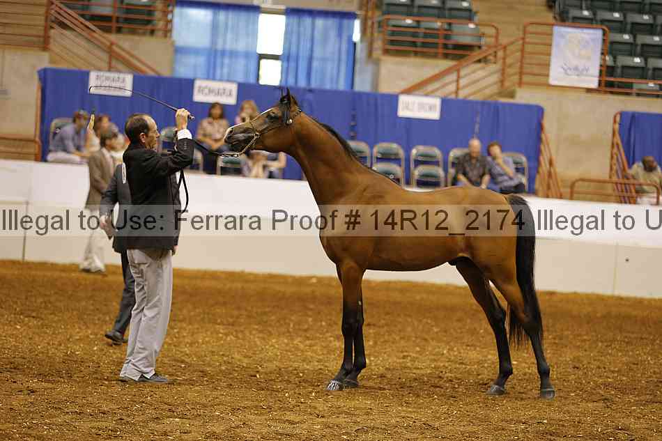 Proof 14r12_2174