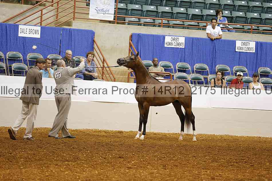 Proof 14r12_2175