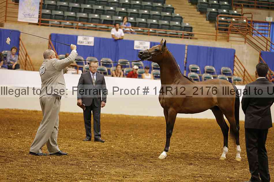 Proof 14r12_2176
