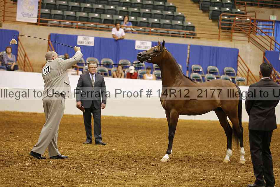 Proof 14r12_2177