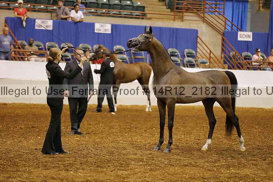 Proof 14r12_2182