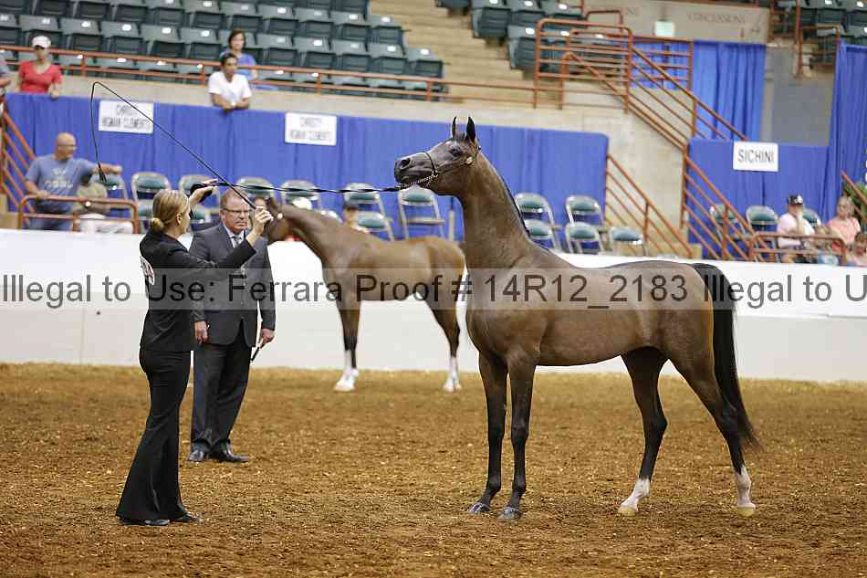 Proof 14r12_2183