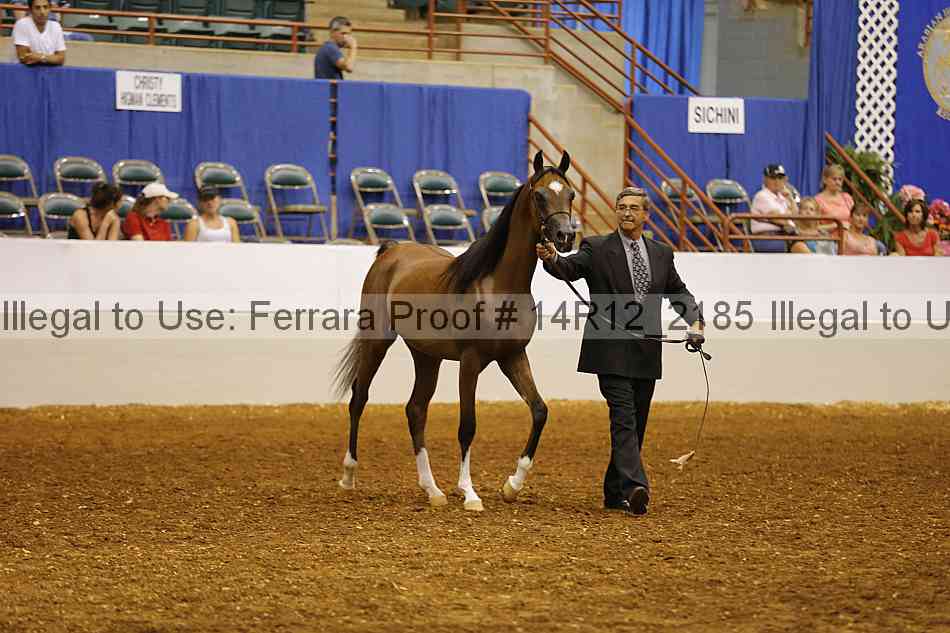 Proof 14r12_2185