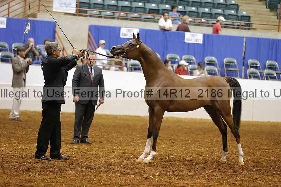 Proof 14r12_2186
