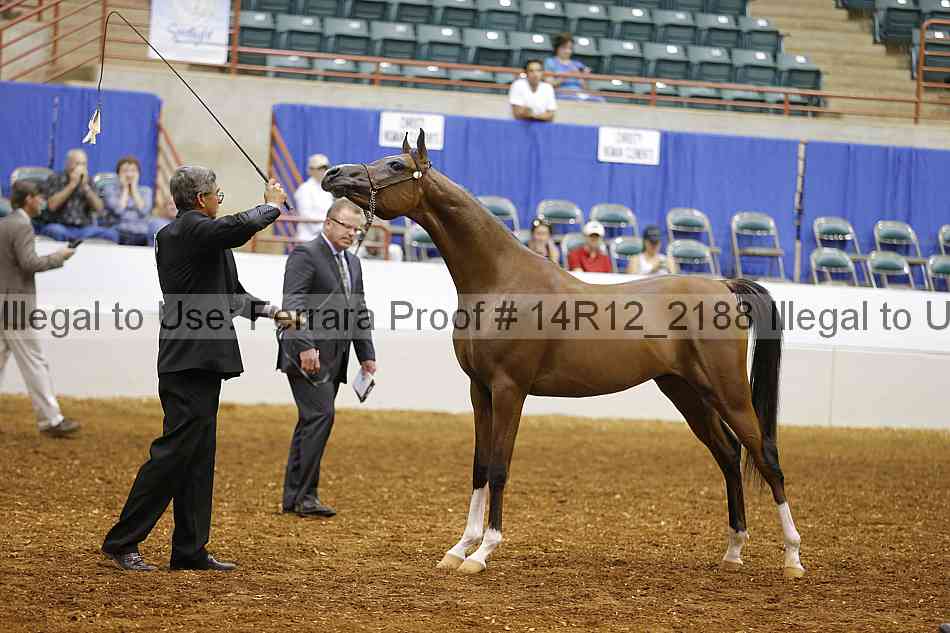 Proof 14r12_2188