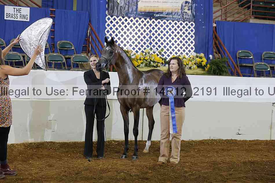 Proof 14r12_2191